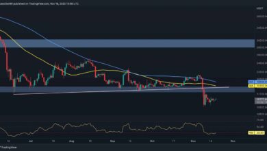 Hat Bitcoin den Tiefpunkt erreicht oder ist ein weiterer Rückgang auf 15.000 $ im Spiel? (BTC-Preisanalyse)