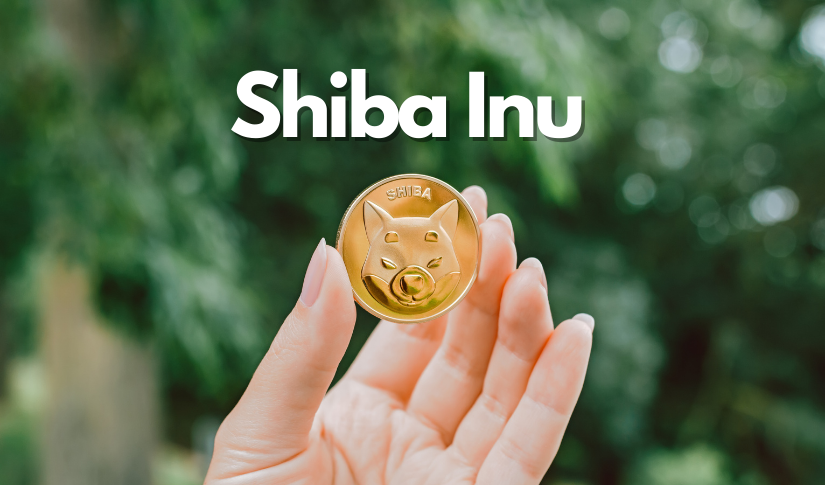 Ist Volatile Shiba Inu (SHIB) reif für Investitionen?