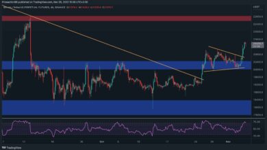 Kann BTC nach dem Anstieg auf ein 7-Wochen-Hoch als nächstes 24.000 $ anpeilen?