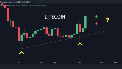 LTC führt die Markterholung mit 29 % Gewinn in 24 Stunden an (Litecoin-Preisanalyse)