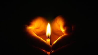 Litecoin-Wiederherstellung, um die anhaltende Krypto-Dunkelheit zu beenden? LTCUSD 2. November 2022