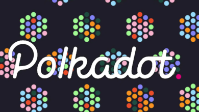 Polkadot