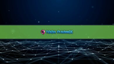 Toon Finance auf einer Mission zur Rationalisierung von Play-to-Earn-Spielen in Krypto