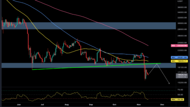 War diese Kapitulation oder mehr Schmerz für BTC nach der FTX-Pleite? (Bitcoin-Preisanalyse)