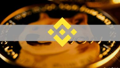 Wenn Binance oder Tether zusammenbrechen, ist das Spiel für Crypto vorbei, sagt der Gründer von DOGE