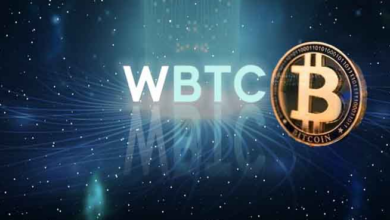 Wie geht es Wrapped Bitcoin (WBTC) nach dem Krypto-Marktcrash?