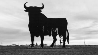 Bitcoin price BTC BTCUSDT