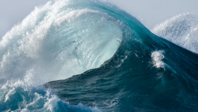 WAVES
