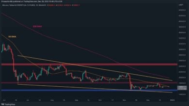 Bitcoin-Bottom-Signale beginnen zu blinken, aber kommt davor noch ein weiterer Abwärtstrend? (BTC-Preisanalyse)