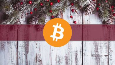 Bitcoin Hodler Supply erreicht ATH, aber ruhige Phase steht bevor