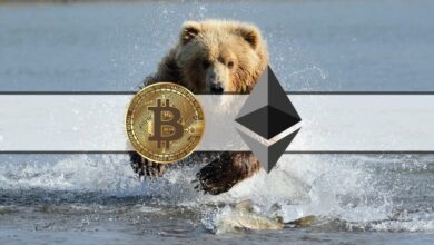 Bitcoin fällt unter 17.000 $, Ethereum Verliert 6 % an einem Tag (Marktbeobachtung)