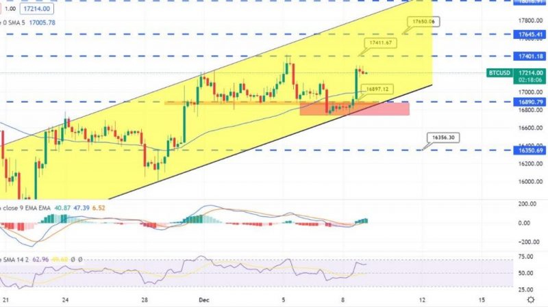 Bitcoin gewinnt zinsbullisches Momentum – Aufwärtstrendlinienunterstützung bei 16.900 $