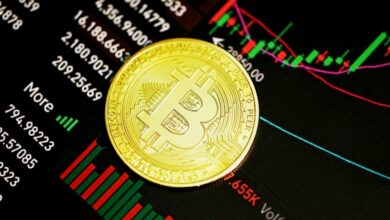 Bitcoin price prediction McGlone