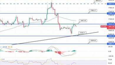 Bitcoin kämpft unter 17.000 $ – sollten Sie jetzt verkaufen?