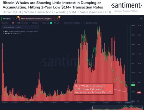 Santiment Bitcoin-Wale