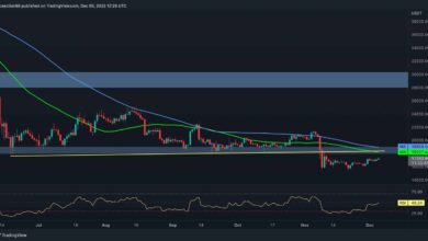 Bitcoin steigt über 17.000 $, aber kommt ein weiterer Crash? (BTC-Preisanalyse)