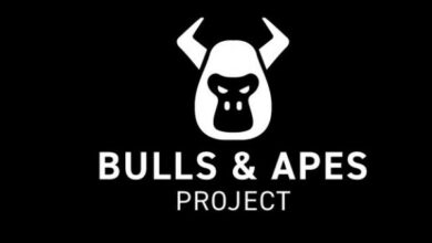 Bulls & Apes Project kündigt neue Initiative zur Tokenisierung von Tausenden von Gemeinschaften an