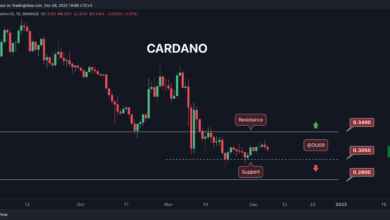 Cardano verliert Moment, hier ist die wichtigste Unterstützung, die es zu beobachten gilt (ADA-Preisanalyse)