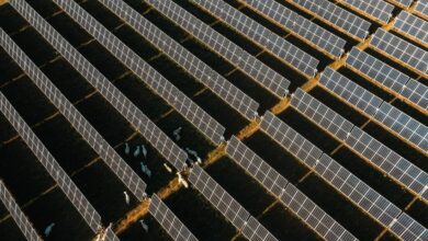 Chinesische Solarhersteller umgingen US-Zölle, Sondierungsfunde