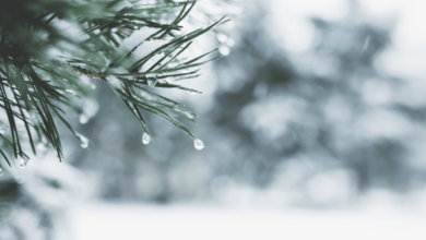 Coinbase prognostiziert einen verlängerten Krypto-Winter für Altcoins