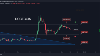 DOGE stürzt täglich um 8 % ab, wie tief kann es fallen? (Dogecoin-Preisanalyse)