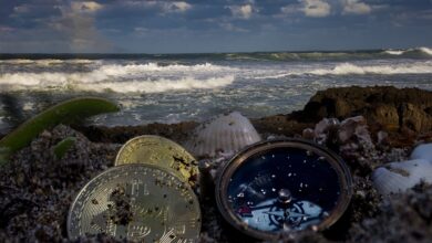 This Report Suggests Crypto Sector Bearing A Final Flush-Out