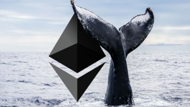 Ethereum whales