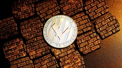 Litecoin rutscht weiter ab und liegt jetzt unter Shiba Inu in der Marktkapitalisierung