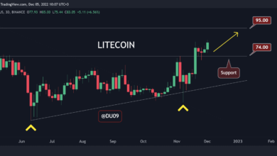 Litecoin steigt täglich um 9 %, kommen 100 $ als nächstes? (LTC-Preisanalyse)