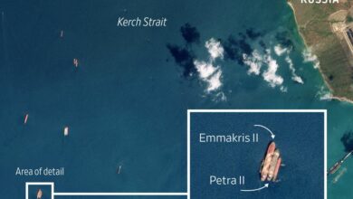 Schiffe, die mit Russlands größtem Getreideexporteur in Verbindung stehen, haben gestohlene ukrainische Fracht transportiert