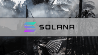 Solana erleidet einen großen Rückschlag, da die Entwicklungsaktivitäten einbrechen, SOL bricht hart ein