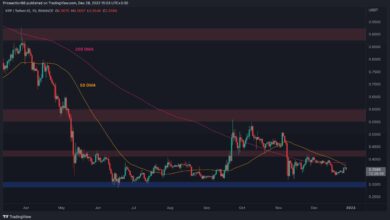 XRP-Bullen tauchen nicht wieder auf, kommen 0,30 $ an? (Ripple Preisanalyse)