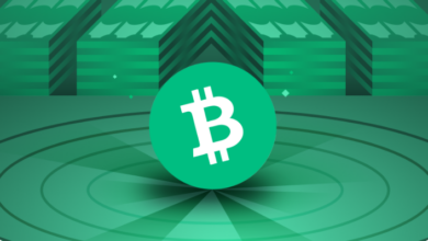 Bitcoin Cash schließt 2022 mit Jahrestief ab – wird 2023 besser?