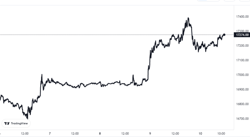 Bitcoin-Preisdiagramm