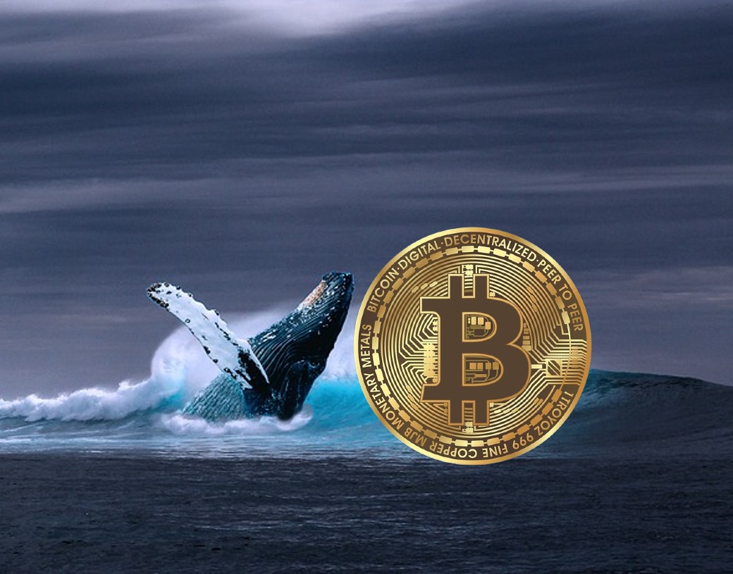 Bitcoin whales