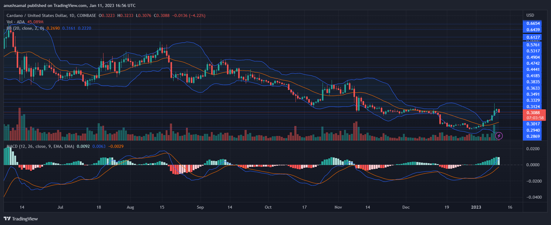 Cardano-Preis