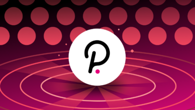 Polkadot (DOT) Ecosystem Grew Massively In Q4 Of 2022, What To Expect Next?