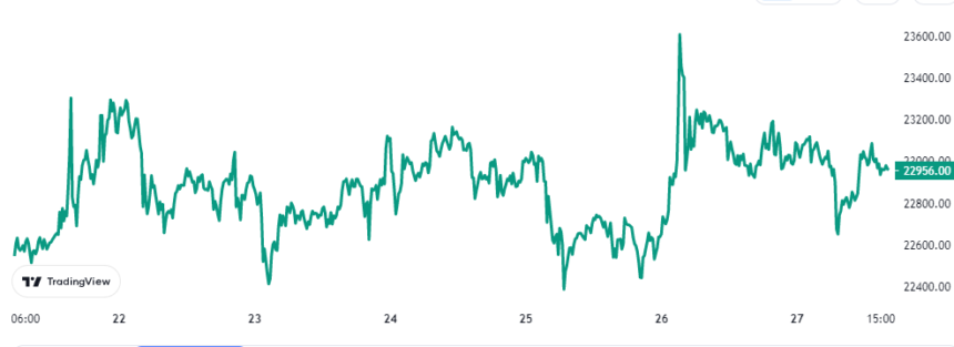 Bitcoin-Preisdiagramm