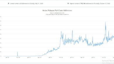 Polygon users from December 31, 2022, to January 26, 2023. Source: PolygonScan
