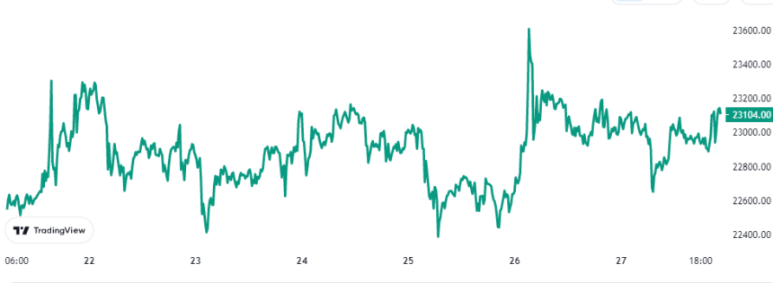Bitcoin-Preisdiagramm
