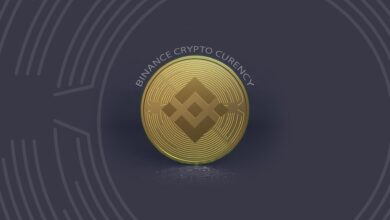 Binance Coin BNB