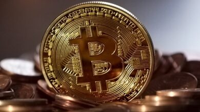 Bitcoin-Finanzierungsraten erreichen 14-Monats-Hoch – was könnte dies für den Marktführer bedeuten?