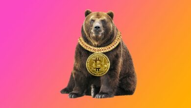 bitcoin bear