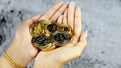 Bitcoin Price