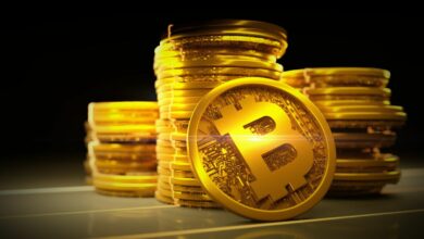 Bitcoin Supply In Loss