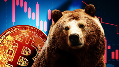 bitcoin bear