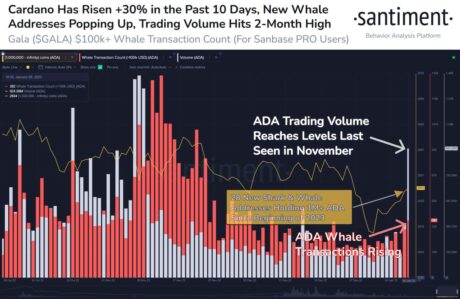 Stimmungsstatistiken zu Cardano (ADA)