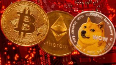 Cryptoverse: Bitcoin ist mit einem Bonk zurück