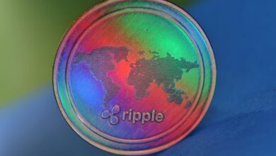 XRP Price Goes Upward With Increasing Whales Activity