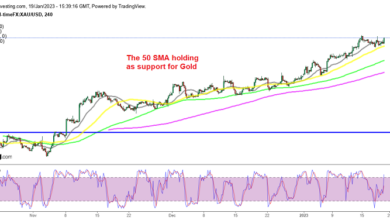 Die Risikostimmung verbessert sich, da Kryptos und Gold höher umkehren